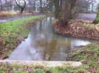 2012 01 22 Gruenkohlwanderung in die Allerdreckwiesen mit Infos zu wiedervernaessten Flaechen vom NABU  Kaffee und Kuche 013